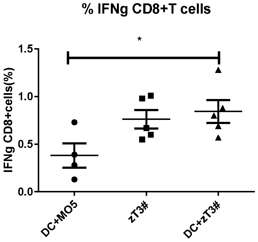 Whole-cell vaccine for inhibiting or preventing melanoma, and preparation method for whole-cell vaccine