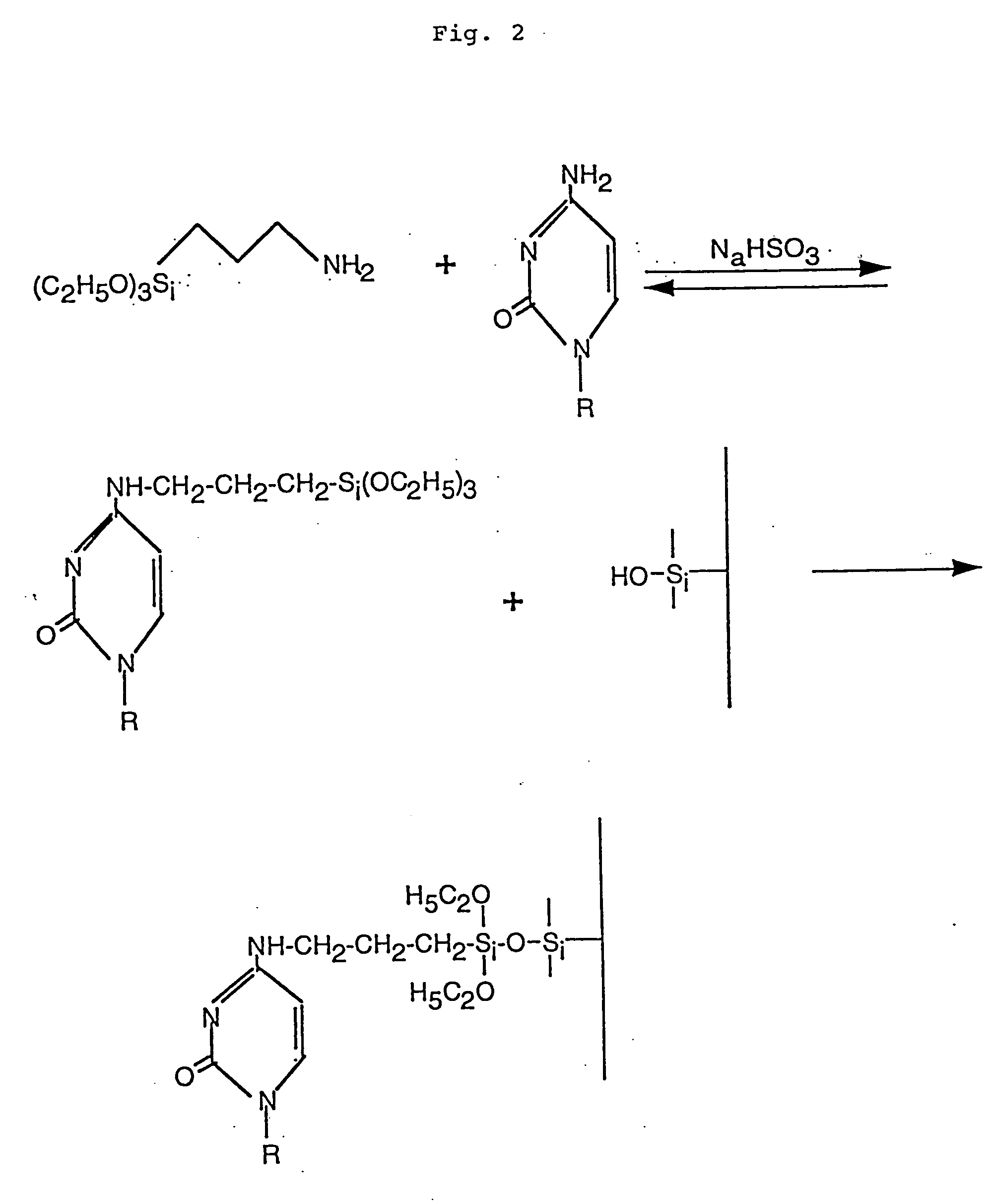 Chemically modified biological molecules and methods for coupling biological molecules to solid support
