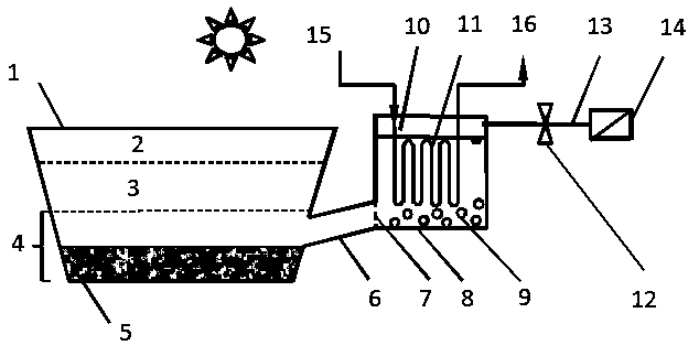 A method and device for self-circulation heating of a salt gradient solar pond