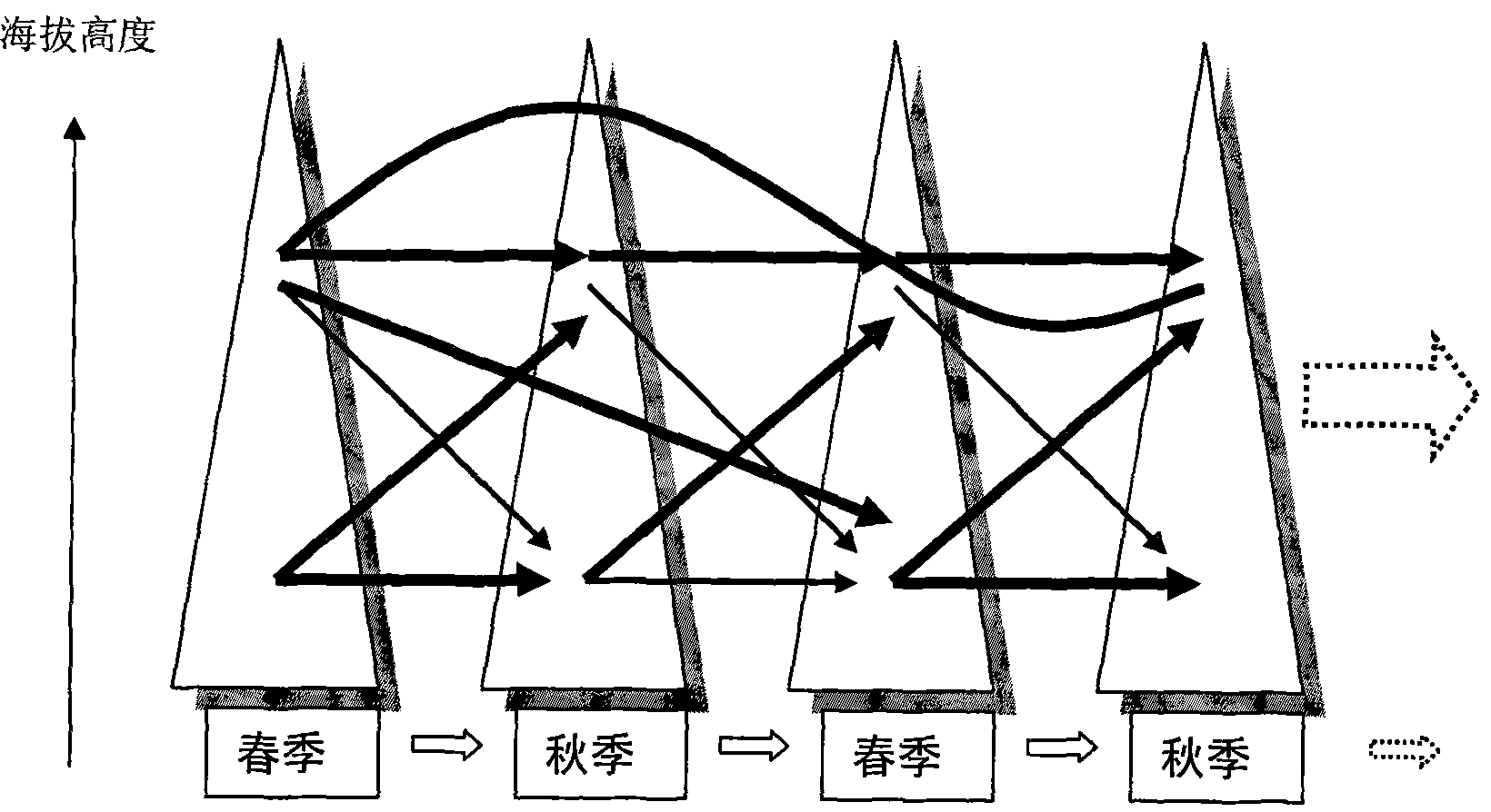 Regulating and controlling, processing method for white potato seed