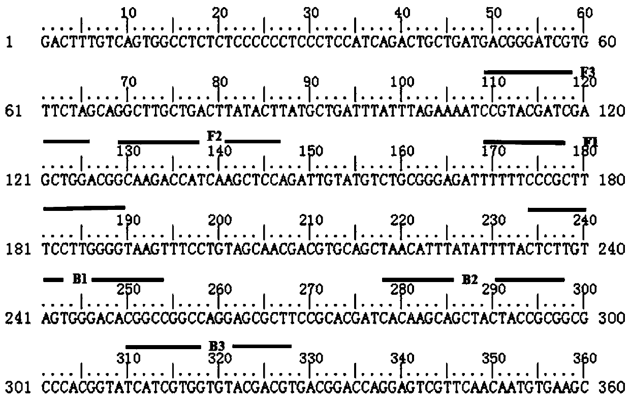 Detection of Phytophthora cedarii Root Rot Pathogen by Loop-Mediated Isothermal Amplification (Lamp) Technology Based on Color Judgment