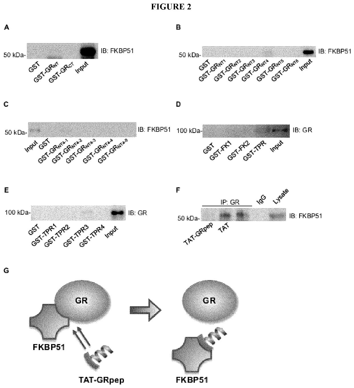 Methods for diagnosing or treating post-traumatic stress disorder, and compositions therefor