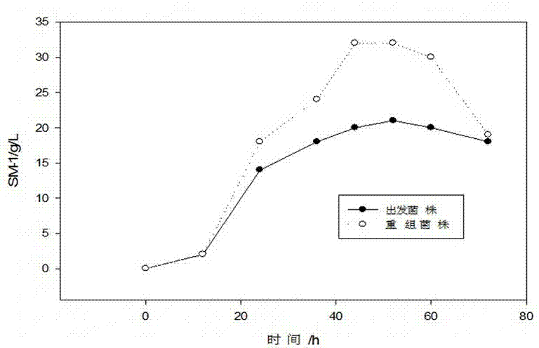 High-specific heat capacity microbe biological polysaccharide SM-1 and its preparation method and use