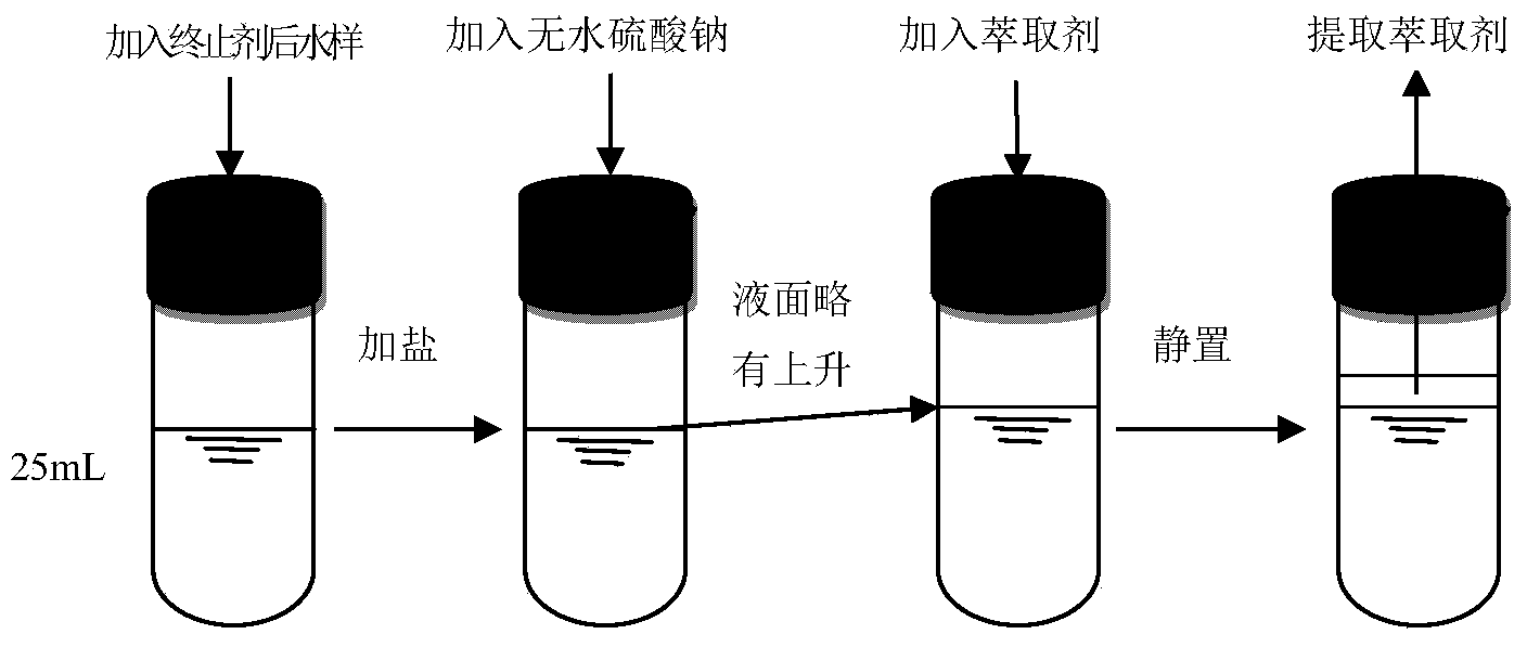 Method of detecting bromonitromethane content in drinking water by GC/MS combination