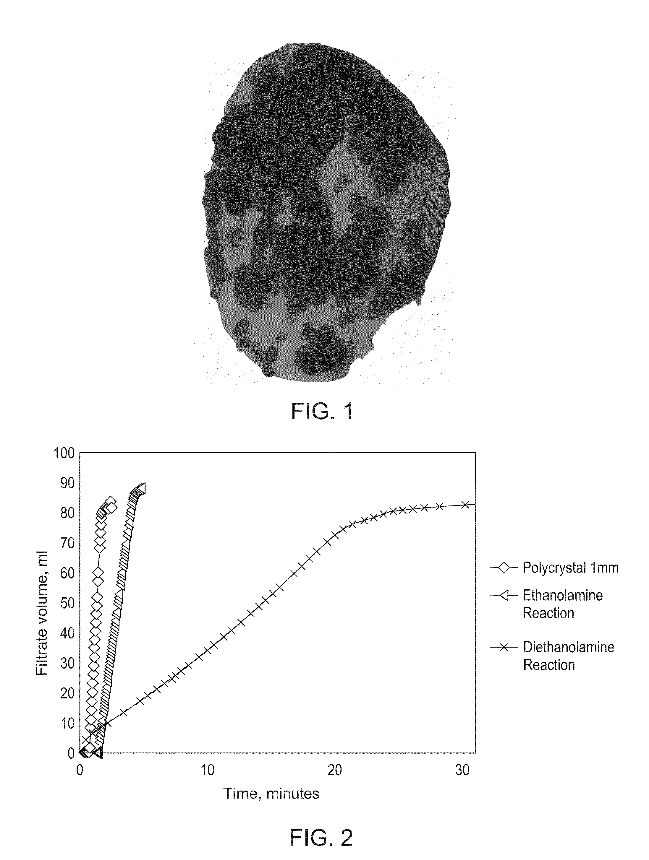 Absorbent Polymers, and Related Methods of Making and Using the Same