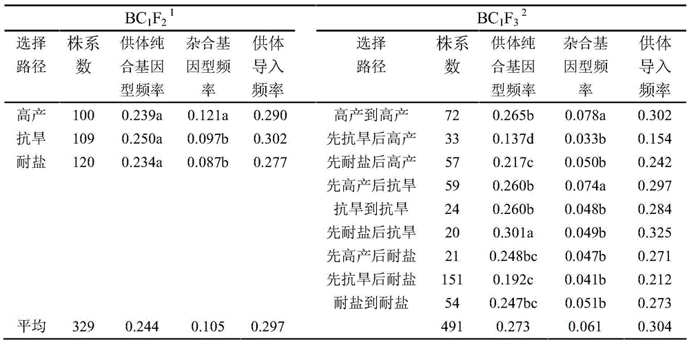 Method for rapidly stabilizing rice backcross introgression population trait