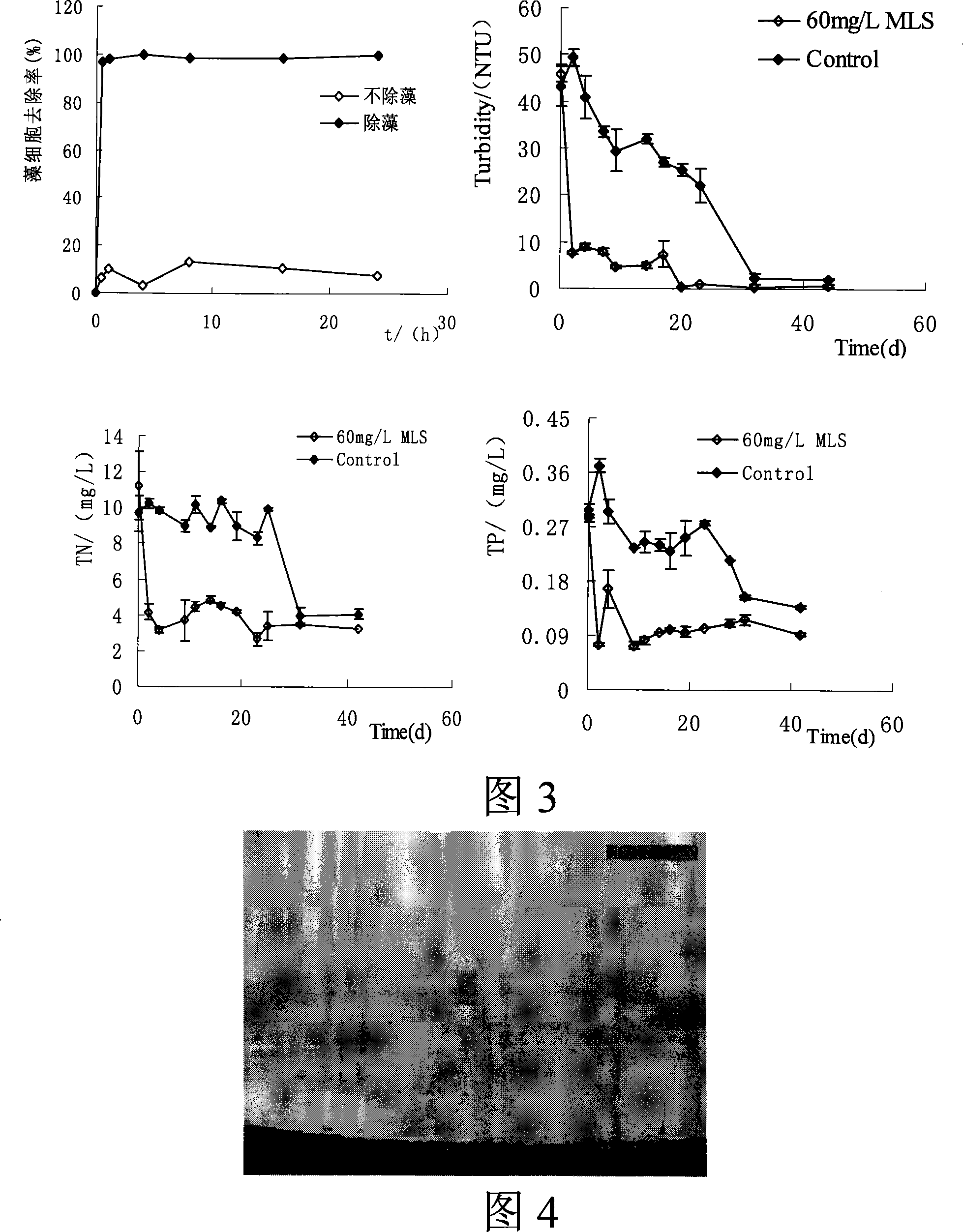Method for fast repairing submerged vegetation by using water quality improvement clearance