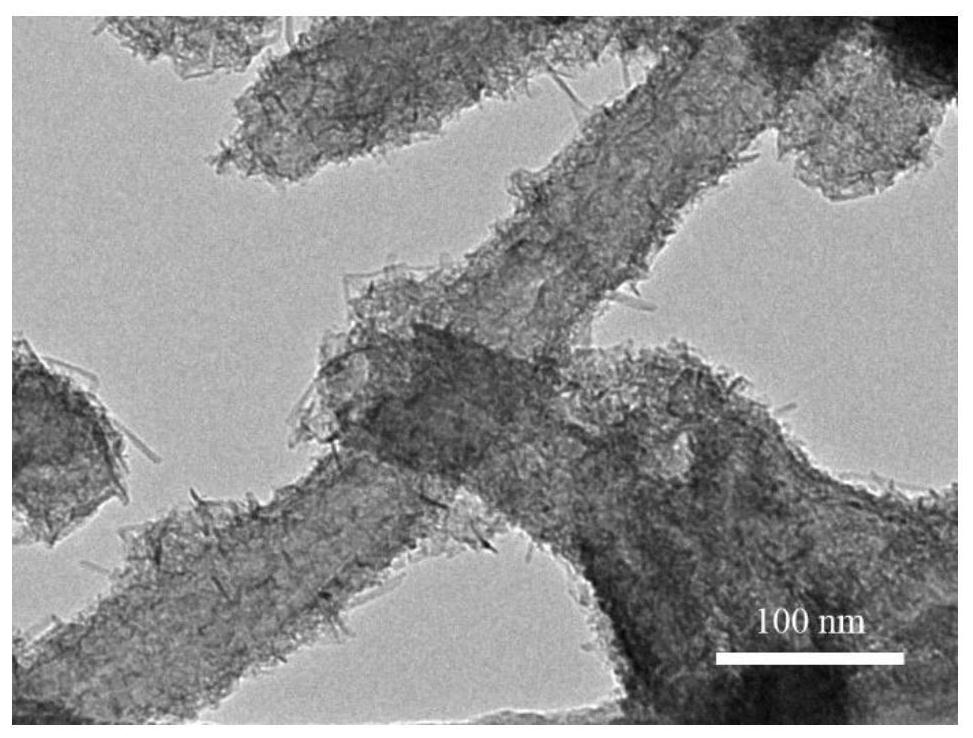 Carbon nanotube-in-tube@manganous-manganic oxide nanoparticle composite material, and preparation method and application thereof