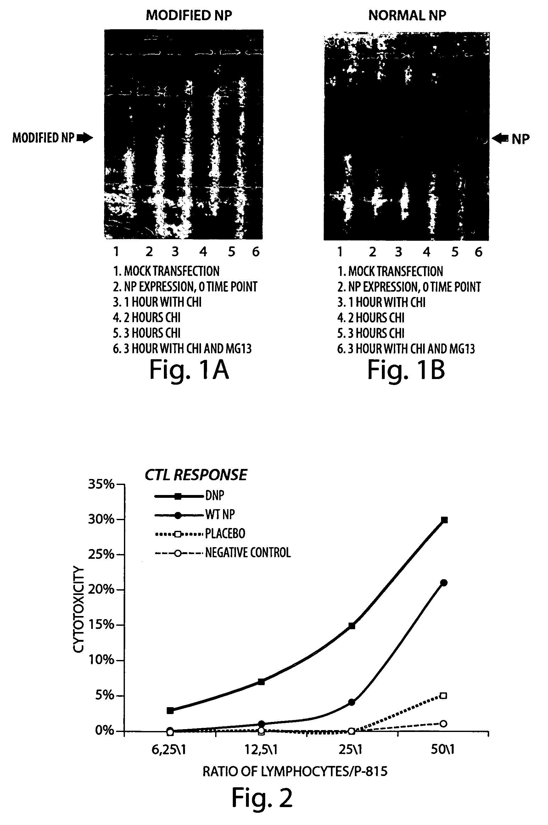Vaccine compositions and methods