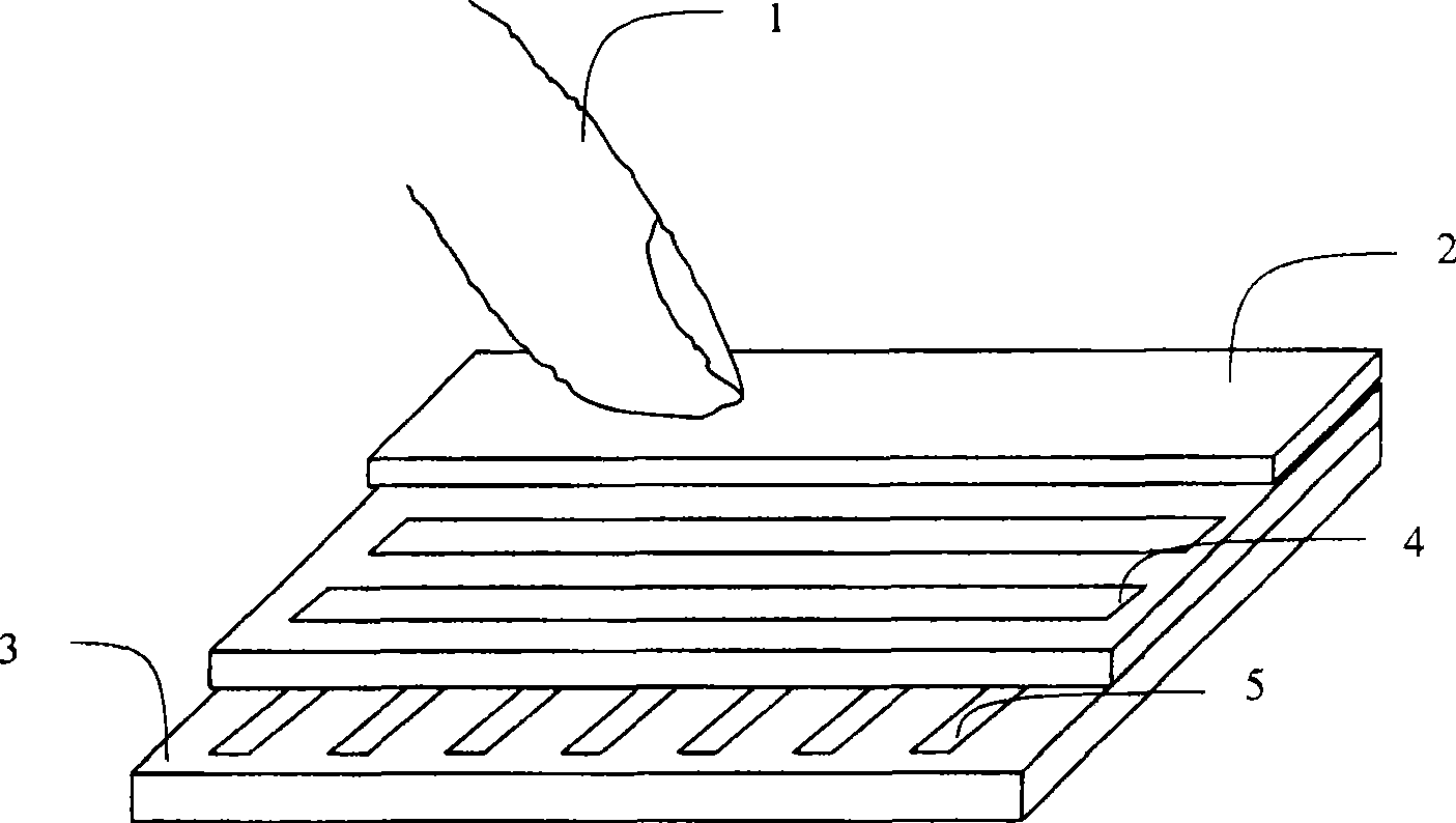 Information input device and method for portable electronic device