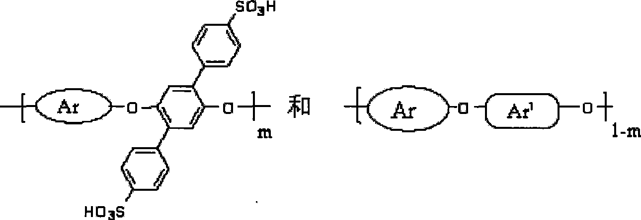 Side base sulfonic acid type polyarylether material, and preparation method and application thereof