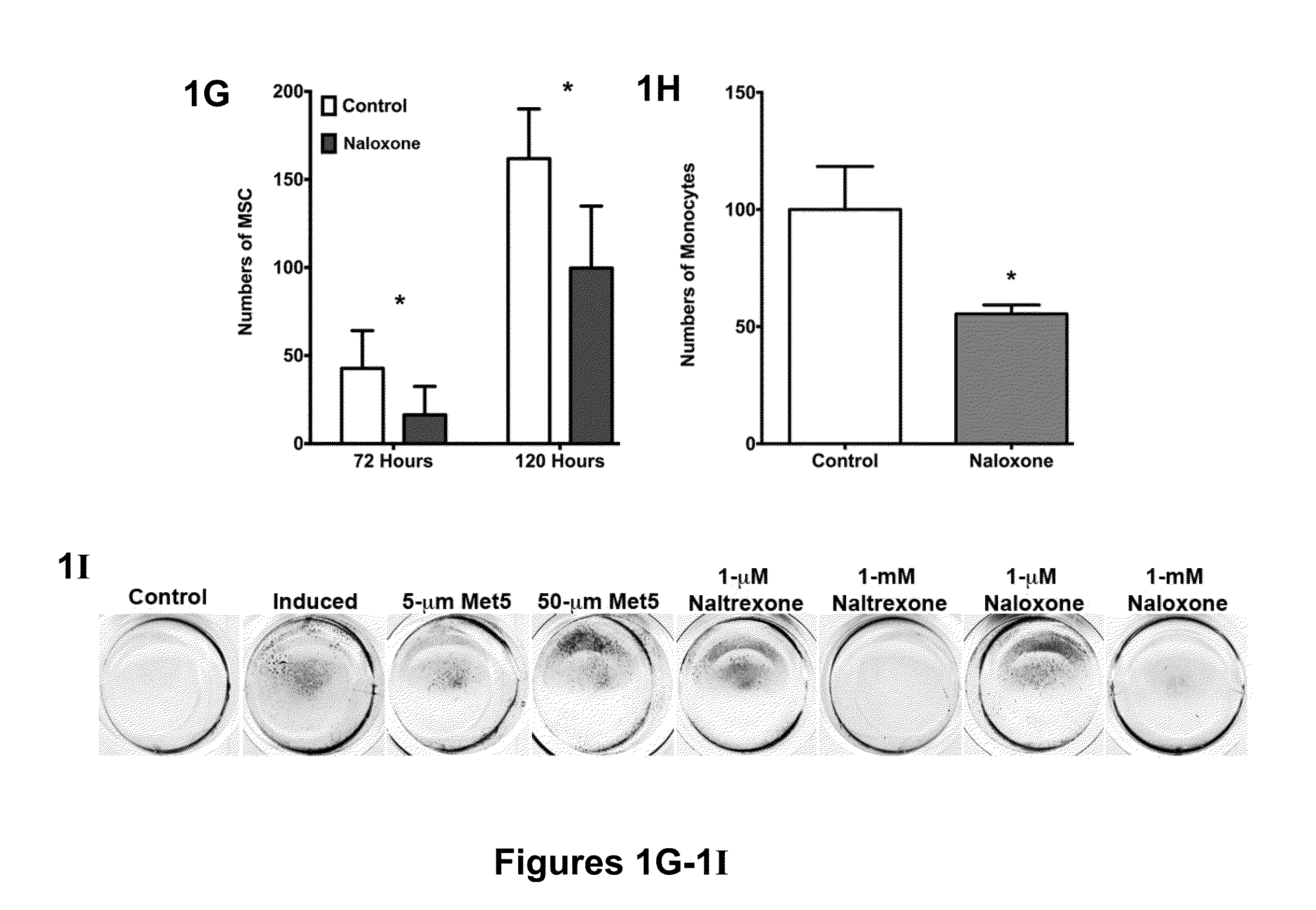 Compositions and methods to promote bone formation