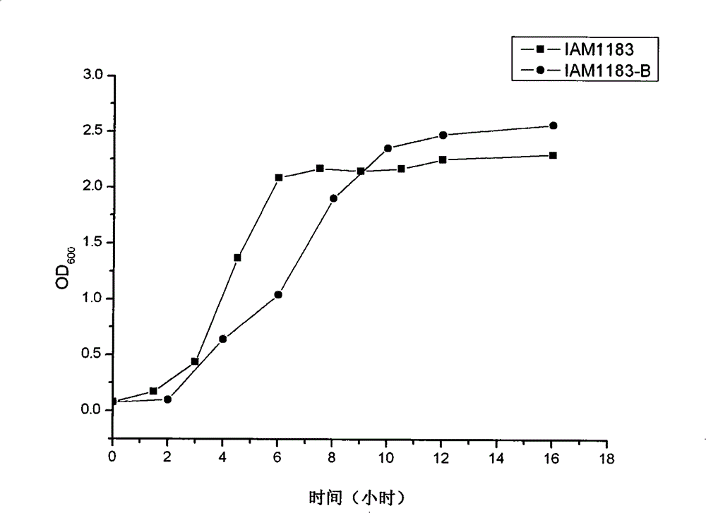 Hydrogen production associated protein, coding genes thereof and application thereof