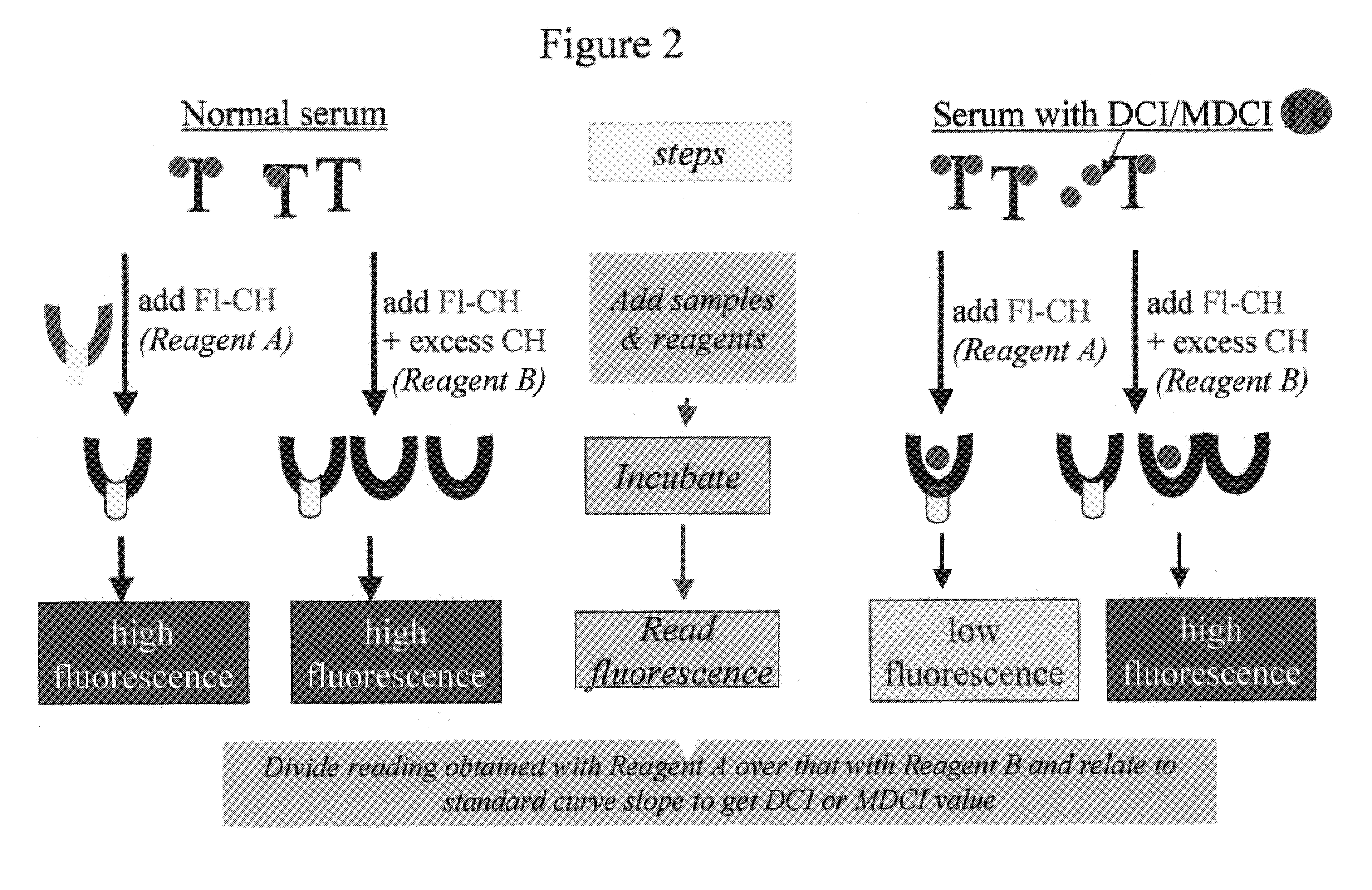 Molecules and methods using same for measuring non-transferrin bound iron