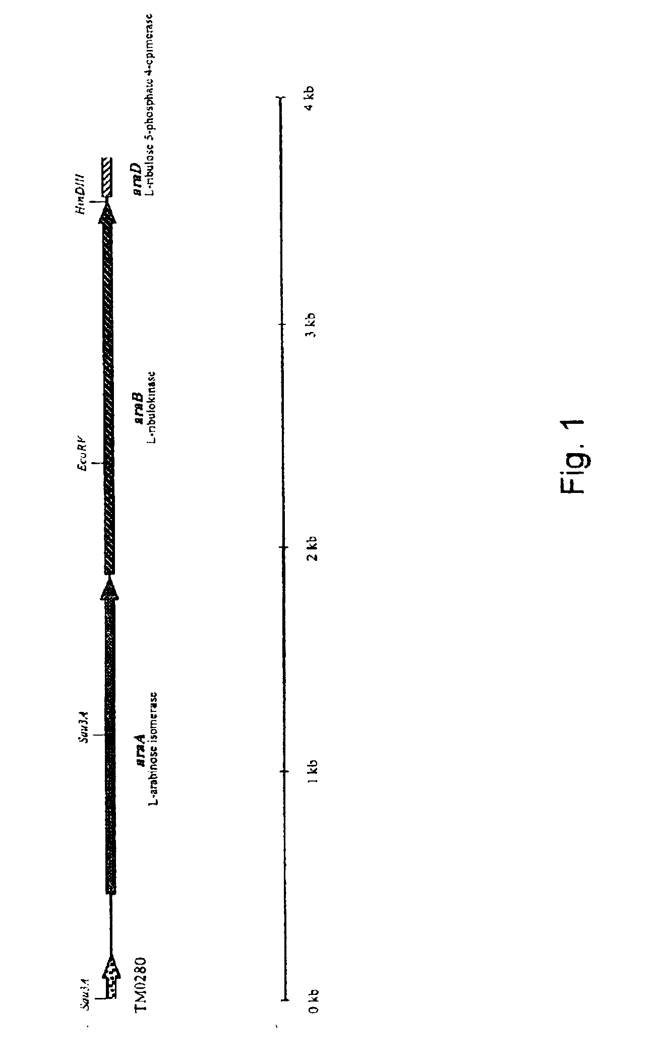 Thermostable isomerase and use hereof, in particular for producing tagatose