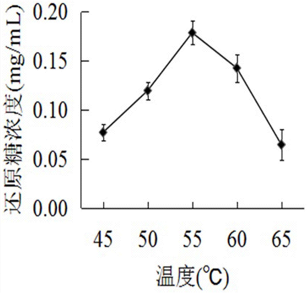 Preparation method for low-molecular weight ascophyllum mackaii glycan and application
