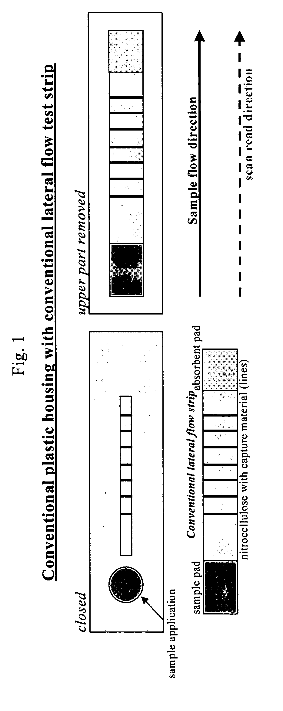 Lateral flow assay device with multiple equidistant capture zones