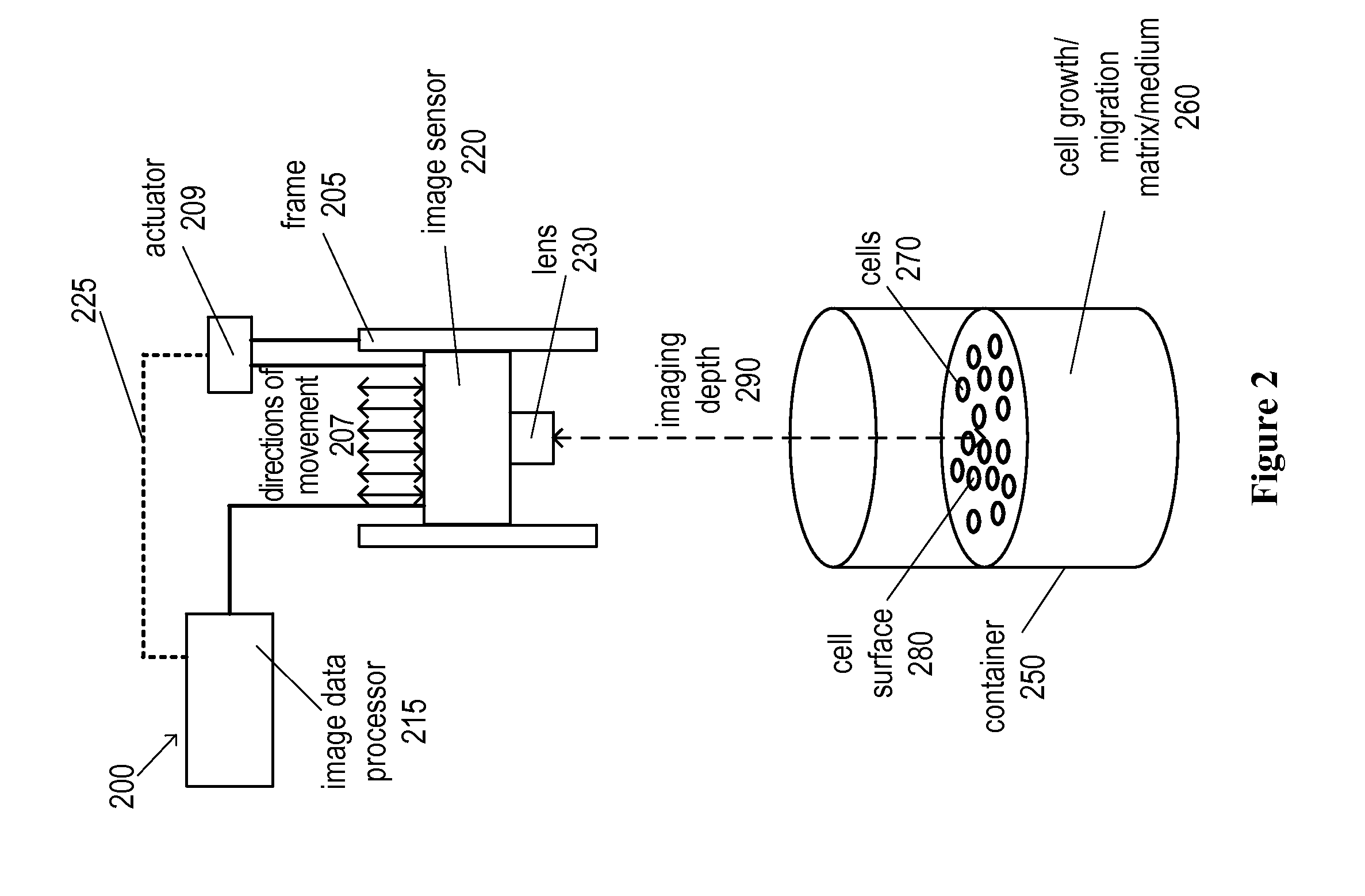 Automated Cell Growth/Migration Detection System And Associated Methods