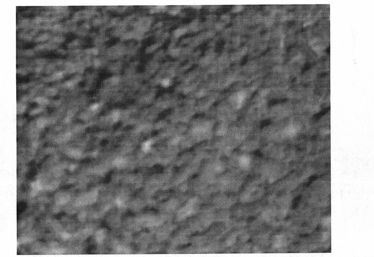 Method for extracting information on expansion and elimination of dead wood of pine wilt disease in air photos of unmanned aerial vehicle