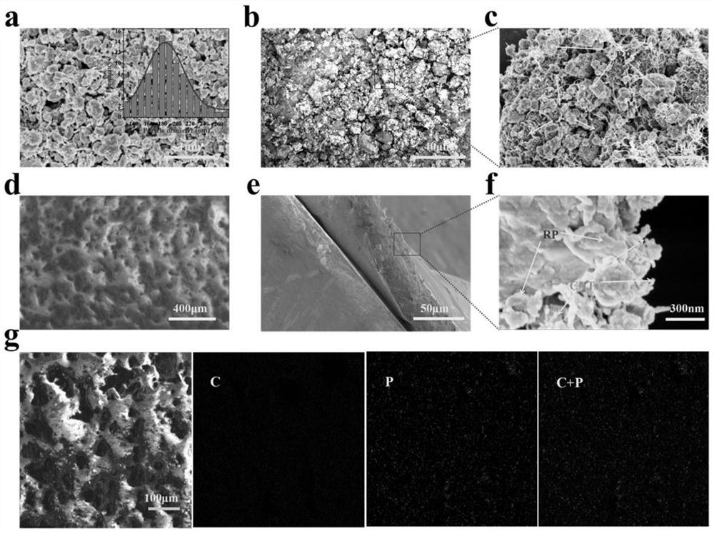 A kind of self-supporting p/cnts composite flexible film and its preparation method and application