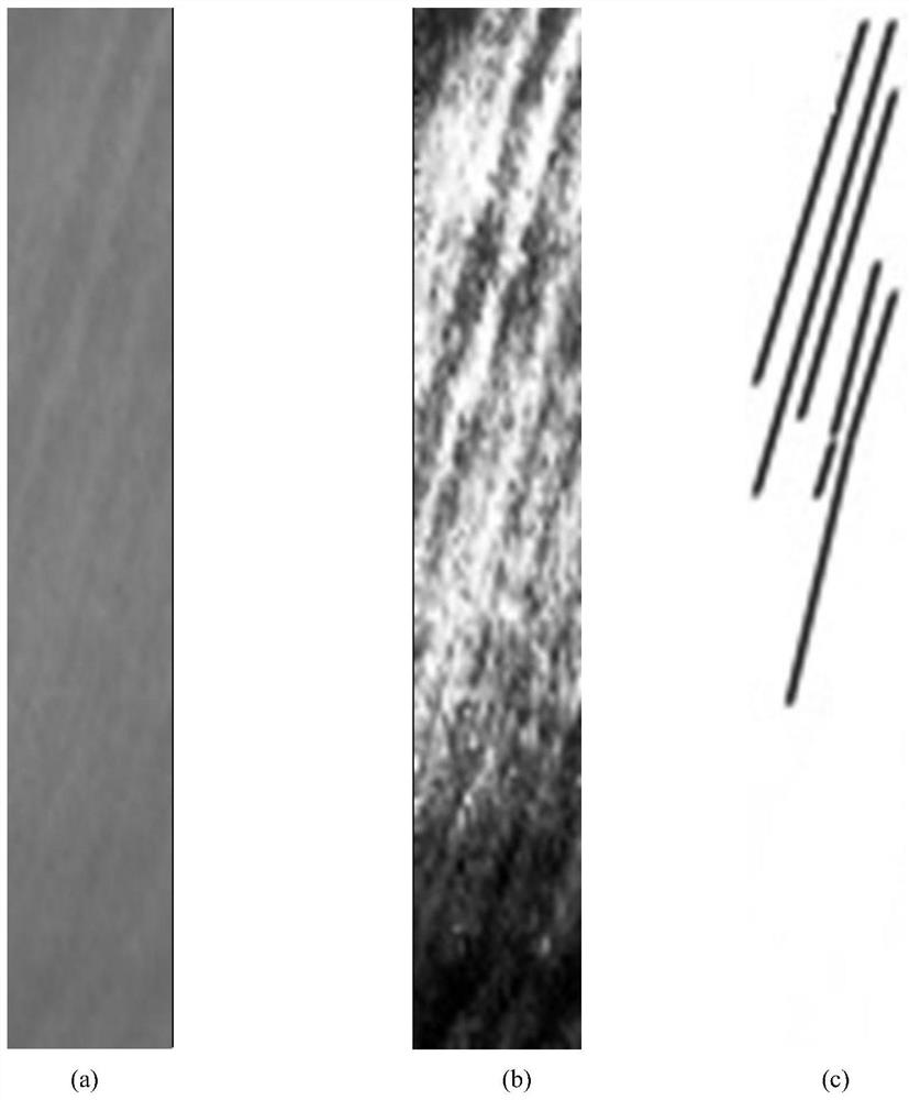 Automatic analysis method for hemodynamic parameters of ocular capillaries