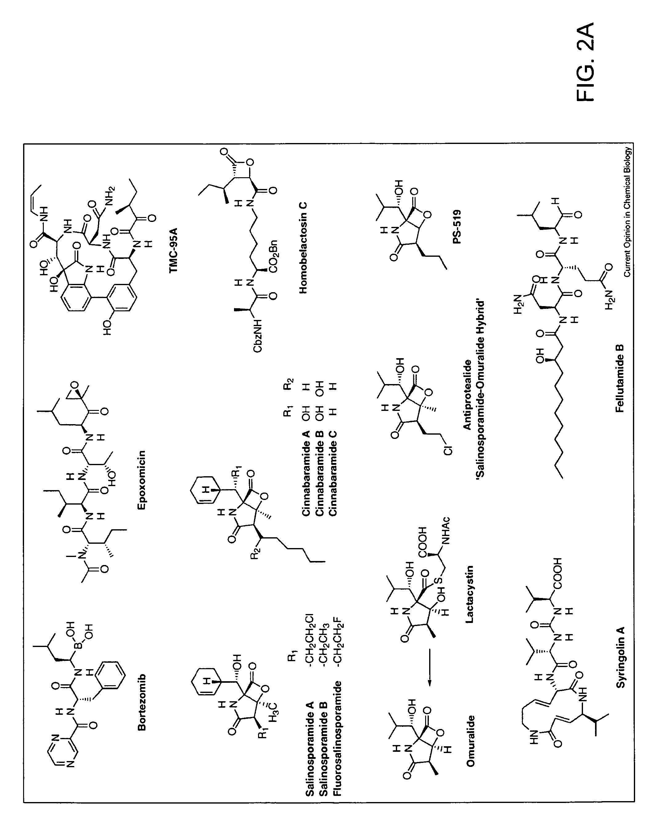 Method of reducing titers of antibodies specific for a therapeutic agent