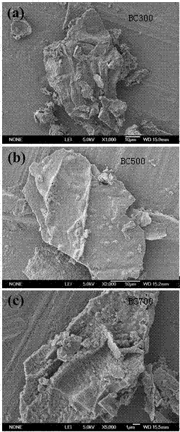 A biochar adsorbent for highly efficient adsorption of rare earth lanthanum