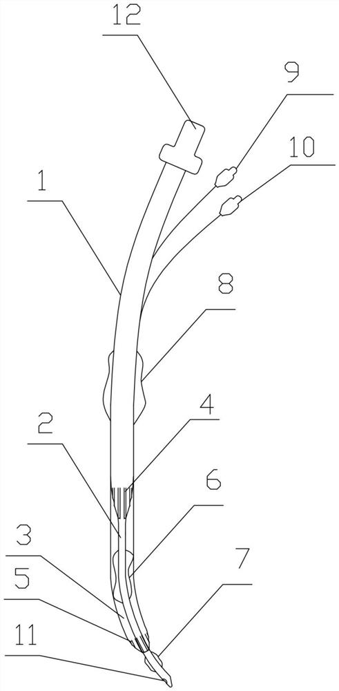 Coaxial double-lumen bronchial cannula