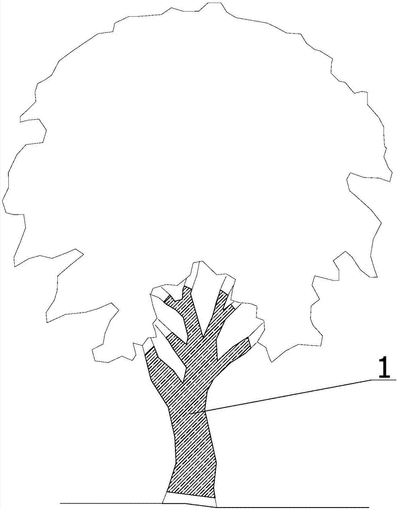Tree protection device for keeping humidity and warm during transplantation in winter and usage method of device