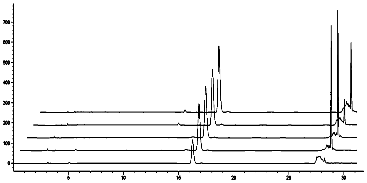 Method for identifying honeysuckle and lonicerae flos by utilizing high performance liquid chromatography and liquid chromatography-mass spectrometry