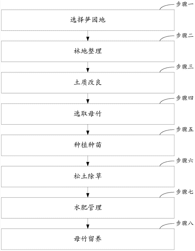 A kind of planting method of thunder bamboo shoots