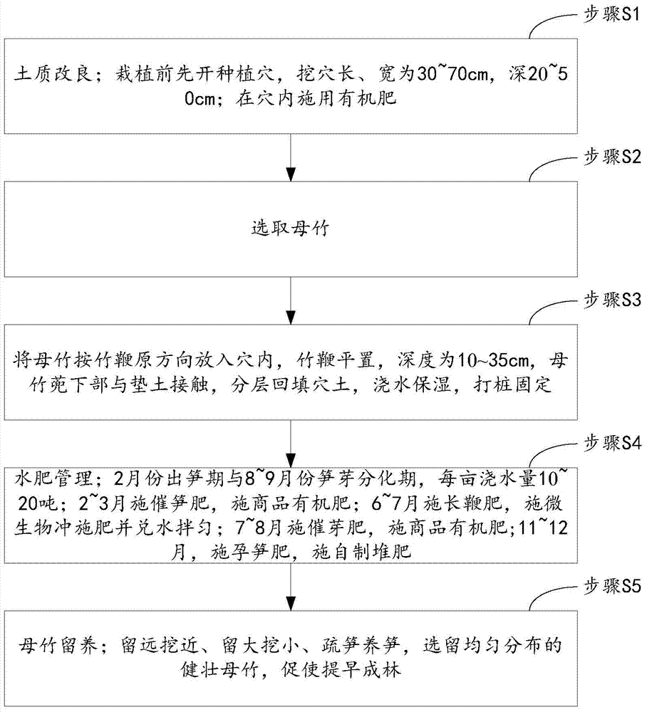 A kind of planting method of thunder bamboo shoots