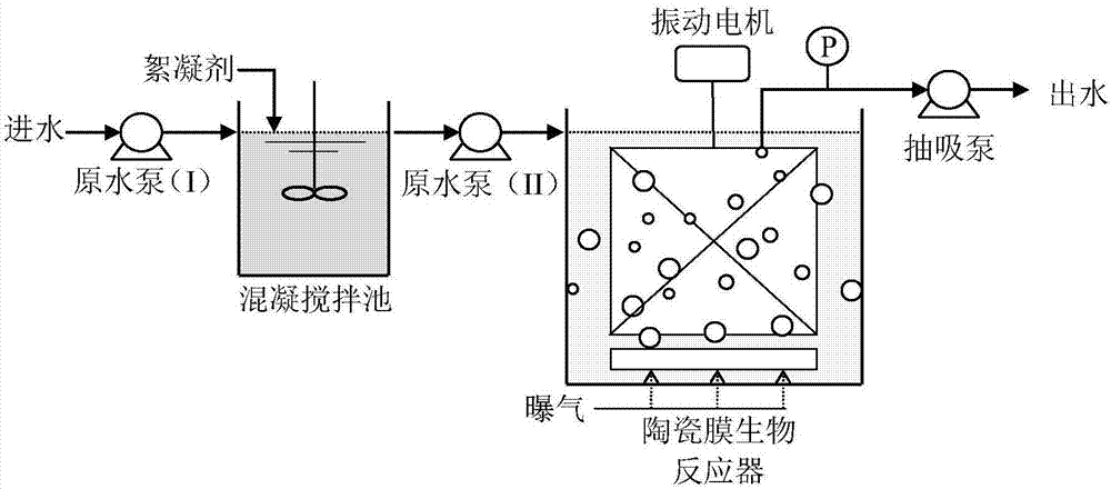 Vibrating flat plate ceramic membrane bioreactor technology for enhancing phosphorus removal, and sewage treatment system