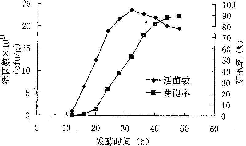 Solid fermentation process for preparing bacillus natto microecological preparation