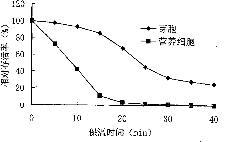 Solid fermentation process for preparing bacillus natto microecological preparation