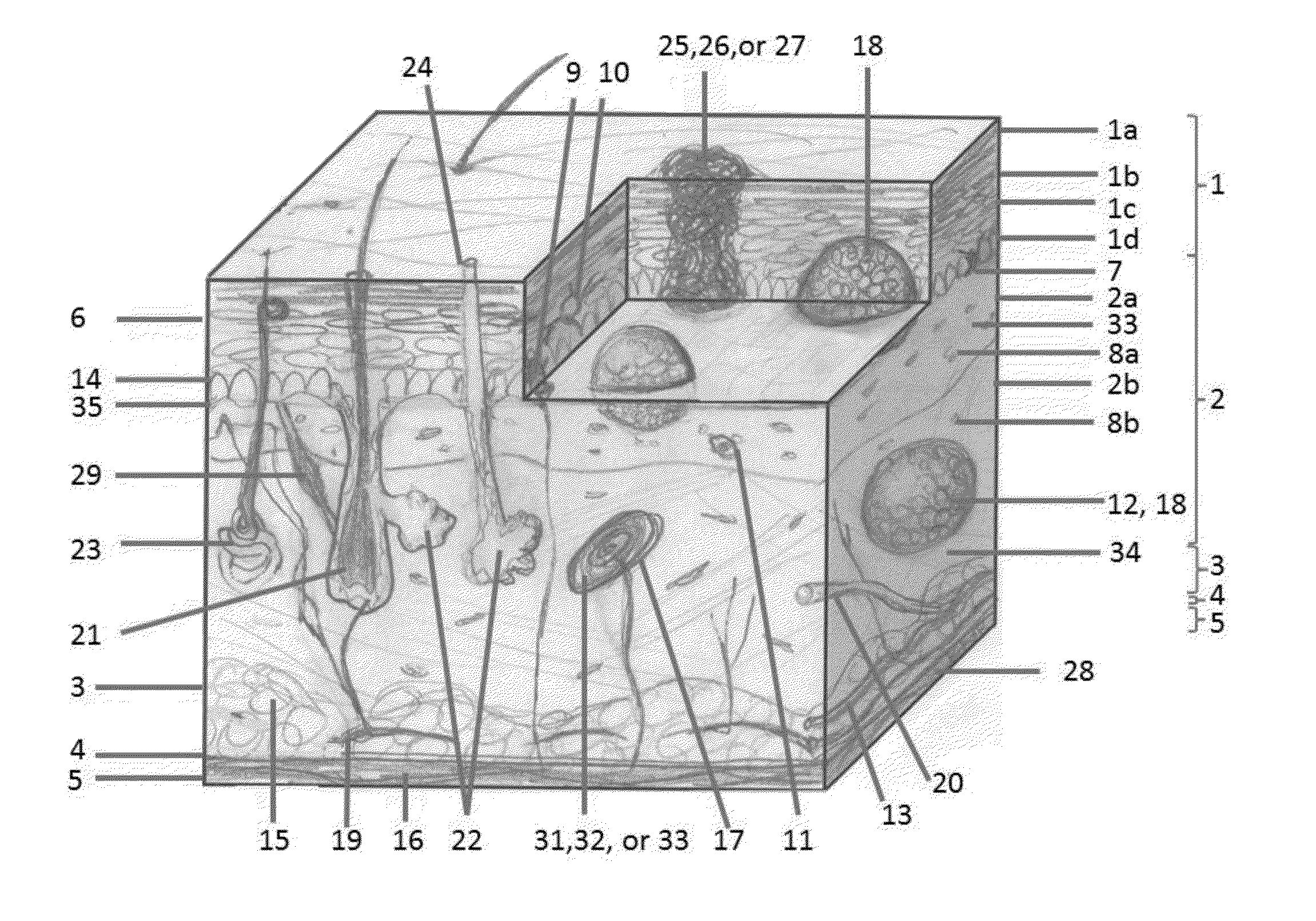 Engineered three-dimensional skin tissues, arrays thereof, and methods of making the same