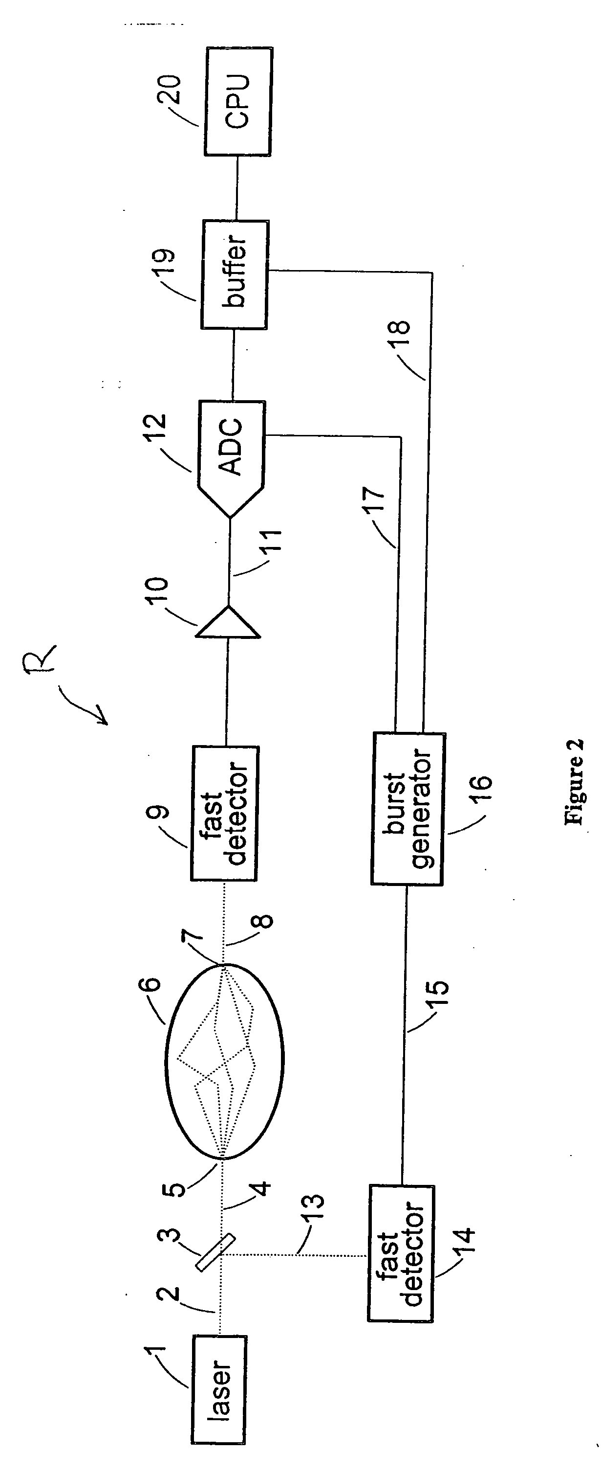 Apparatus and method for acquiring time-resolved measurements utilizing direct digitization of the temporal point spread function of the detected light