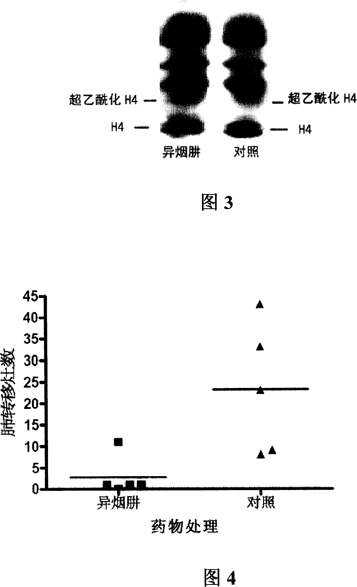 Application of isoniazide as histone deacetylase inhibitors
