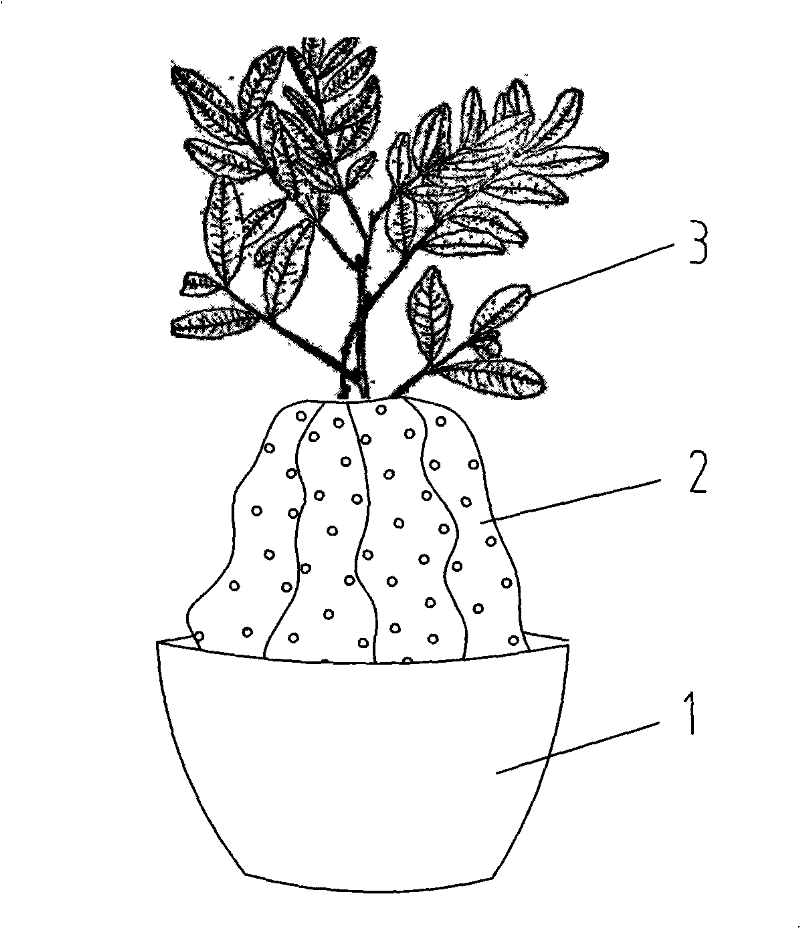 Art bonsai and method for producing same