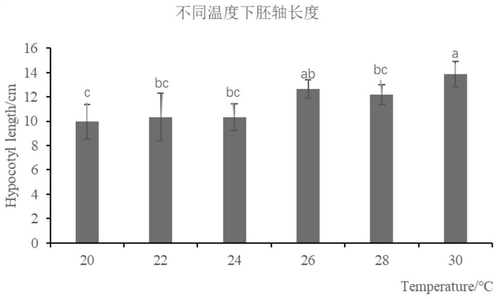 Sprouting vegetable planting method and application thereof