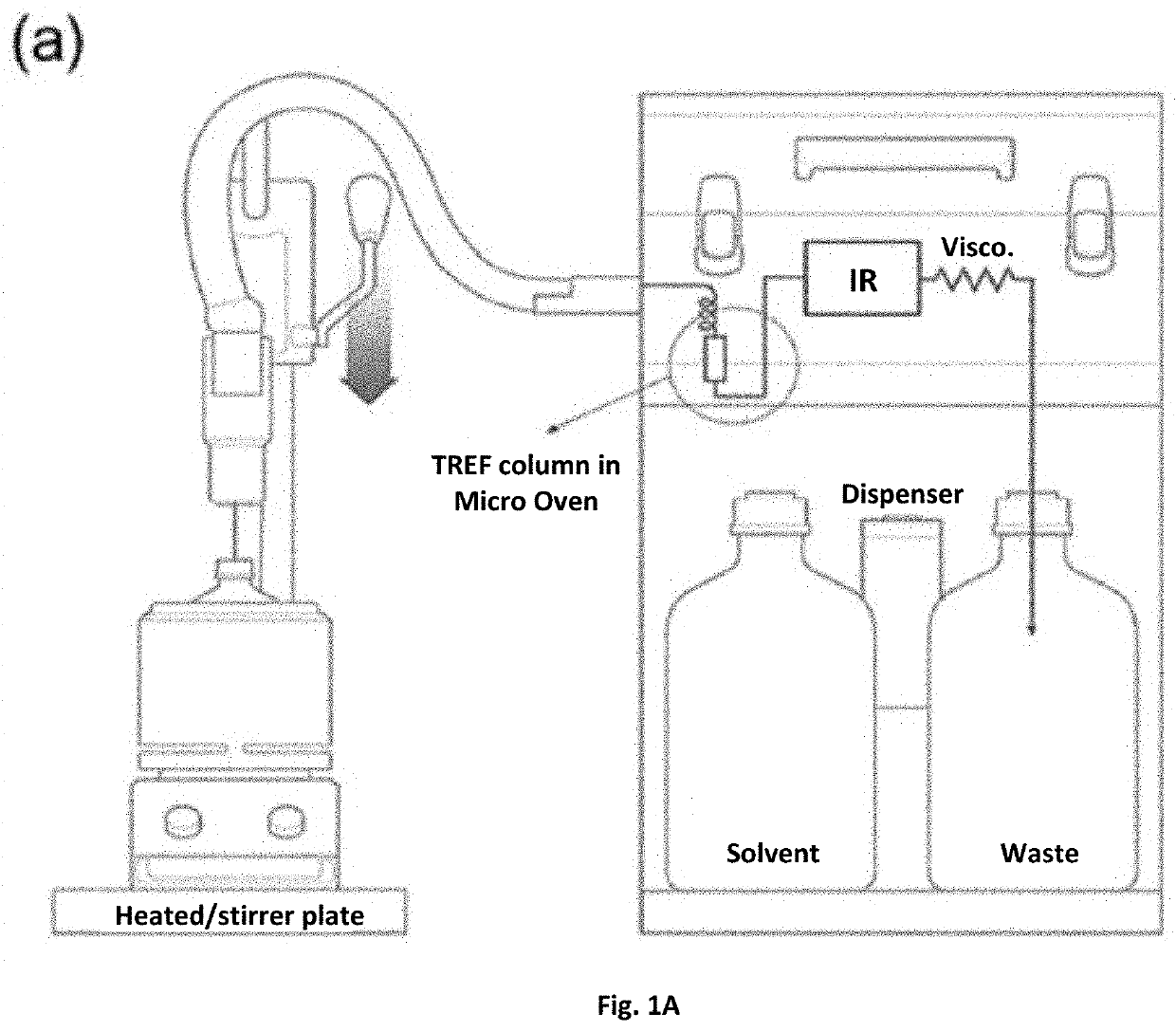 Beta nucleated heterophasic polypropylene composition