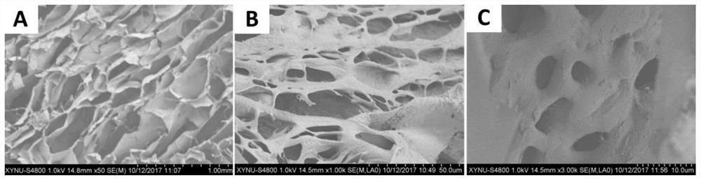 A kind of preparation method of hydroxyethyl chitosan nanocomposite bone scaffold material
