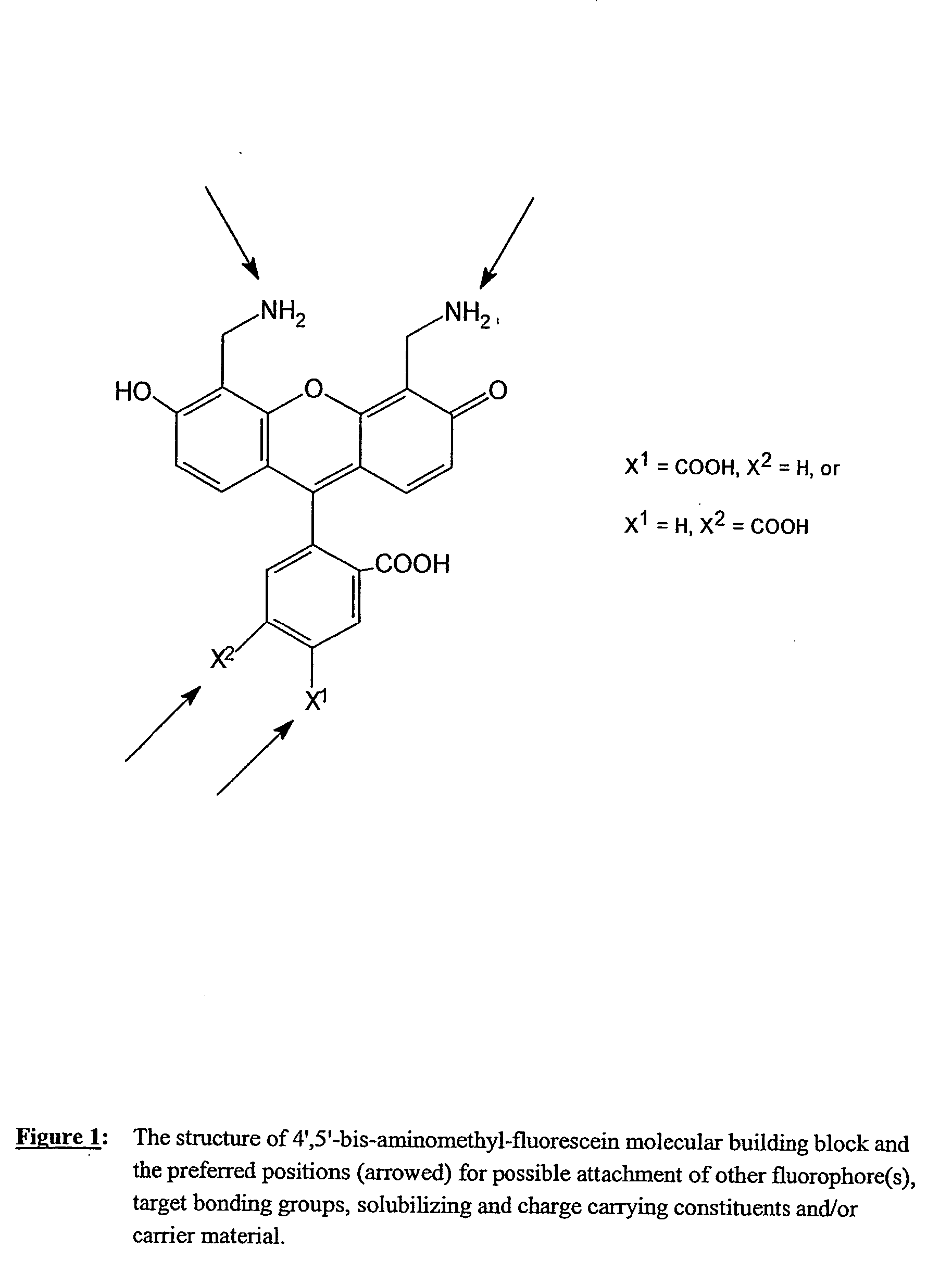 Fluorescent labeling reagents with multiple donors and acceptors