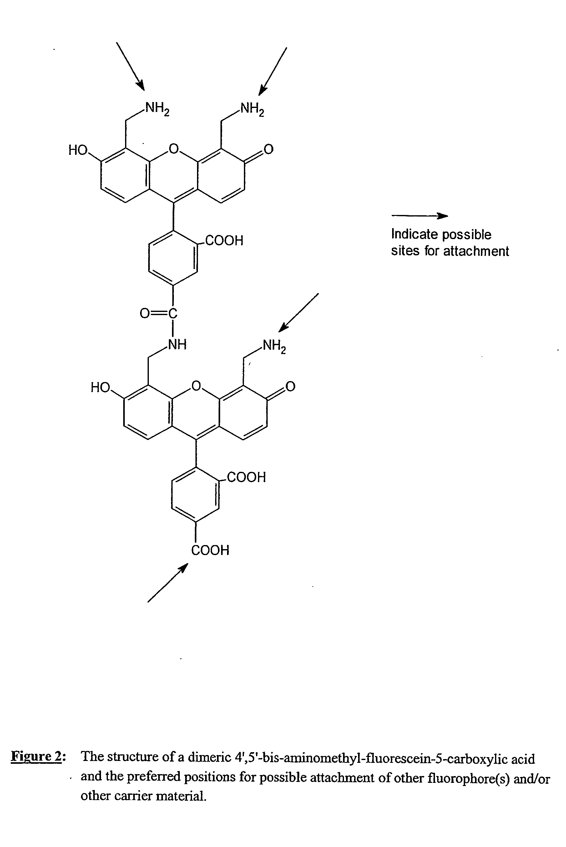 Fluorescent labeling reagents with multiple donors and acceptors