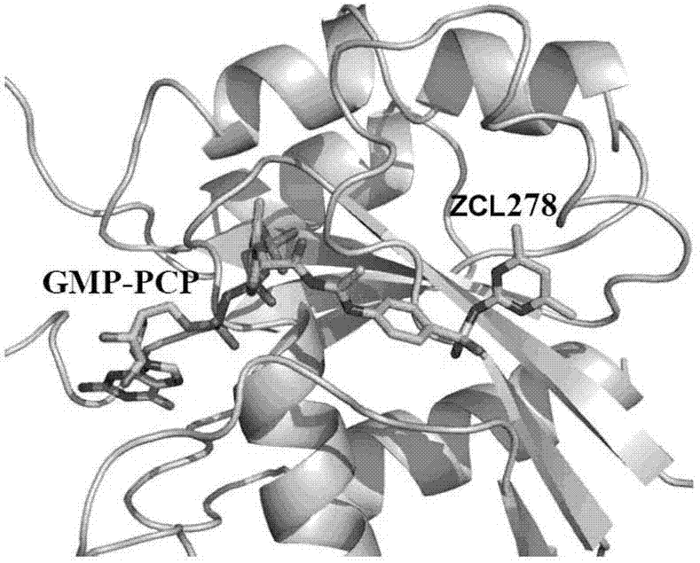 Cdc42 inhibitor and application thereof