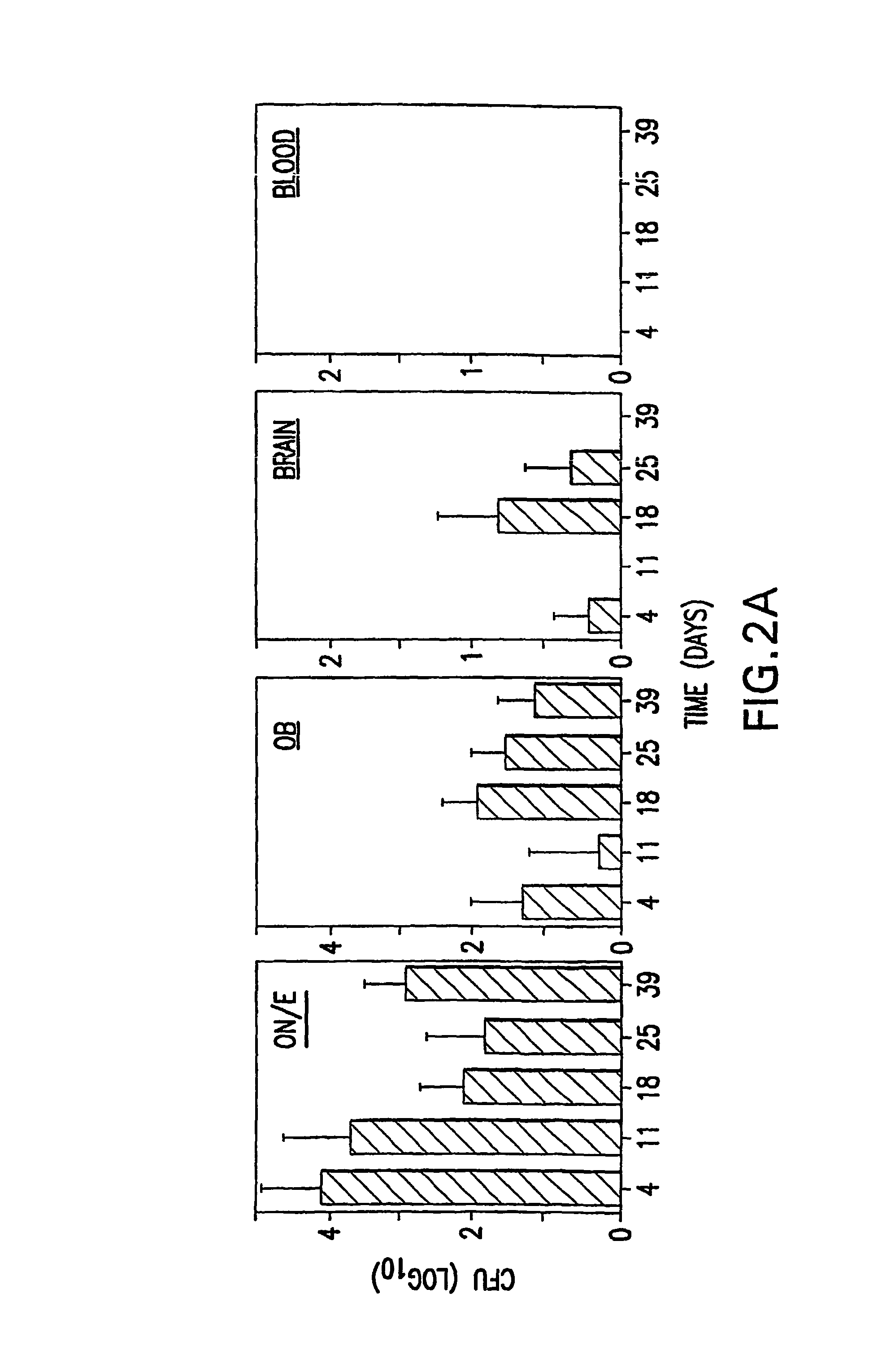 Compositions for reducing bacterial carriage and CNS invasion and methods of using same