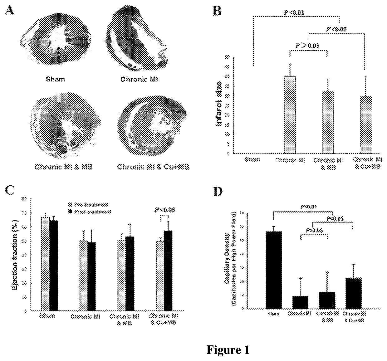 Methods of tissue repair and regeneration