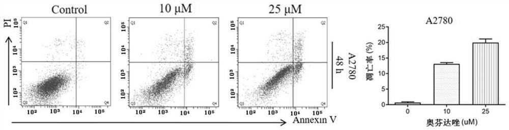 Application of oxfendazole as anti-ovarian cancer drug