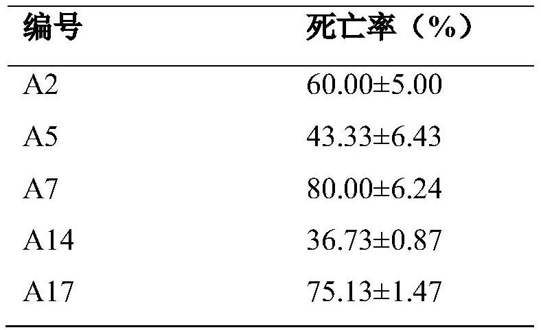 A kind of pentapeptide analogue of insect antipharyngeal side voxel and its application