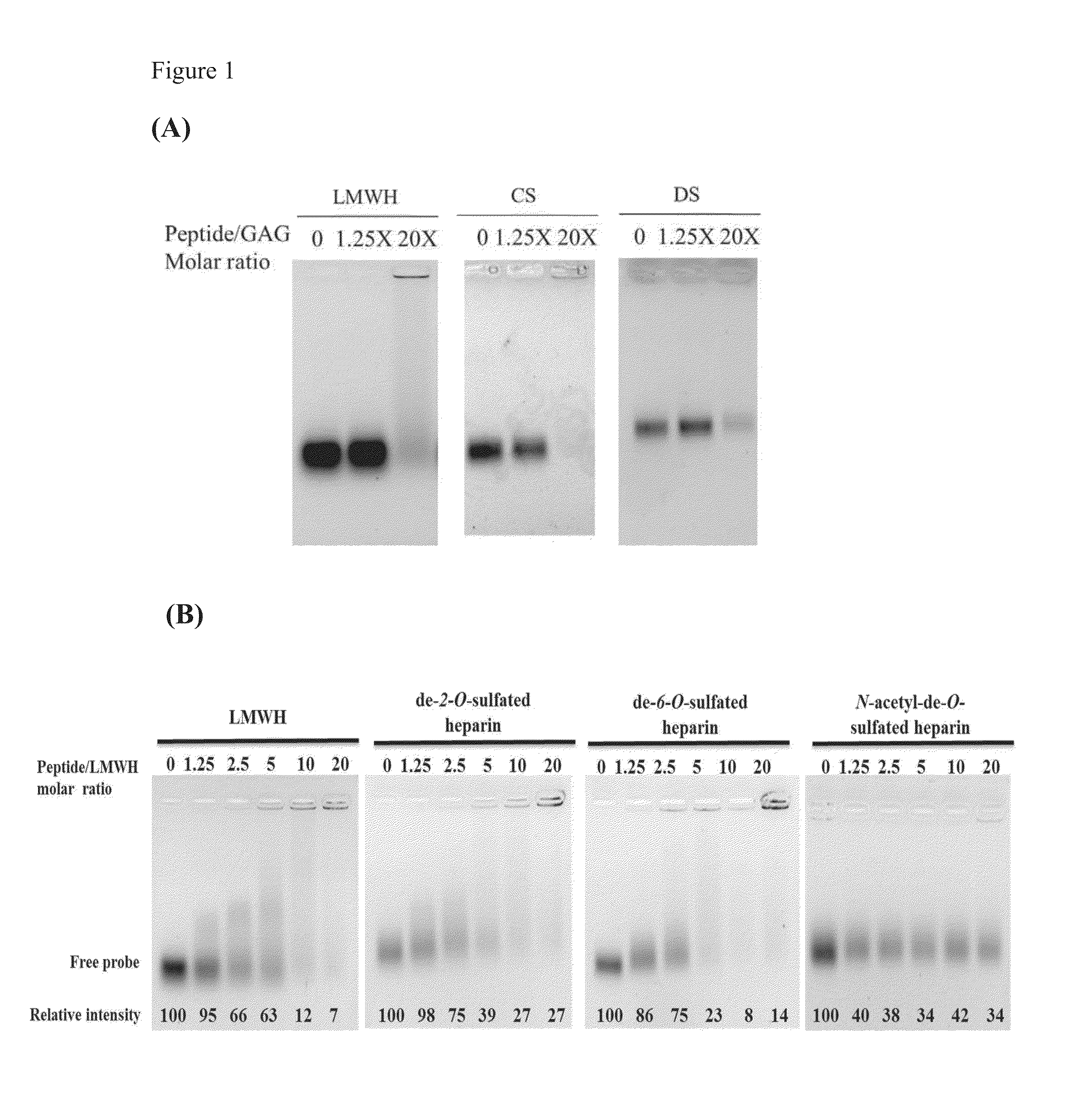 Kit and method of use of targeting peptide for diagnosis and therapy of cancer